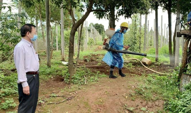 Ngành y tế tỉnh Gia Lai thực hiện phun khử khuẩn môi trường tại làng Bông Hiot, xã Hải Yang, huyện Đak Đoa - nơi có ca bệnh bạch hầu tử vong. (Nguồn: TTXVN) Gia Lai ghi nhận thêm 1 ca dương tính với vi khuẩn bạch hầu ảnh 1
