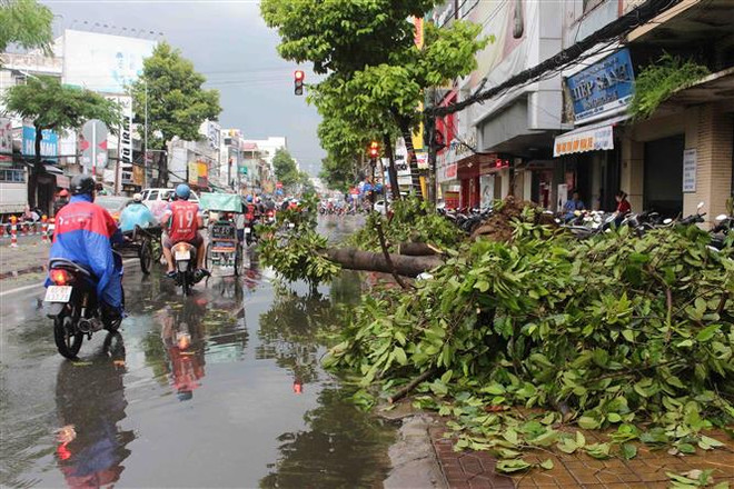 Đêm 15/8, các khu vực có mưa dông, đề phòng lốc và gió giật mạnh ảnh 1