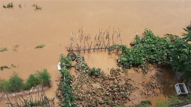Xuất hiện đợt lũ trên sông Hồng-Thái Bình, nhiều vùng biển nguy hiểm ảnh 1