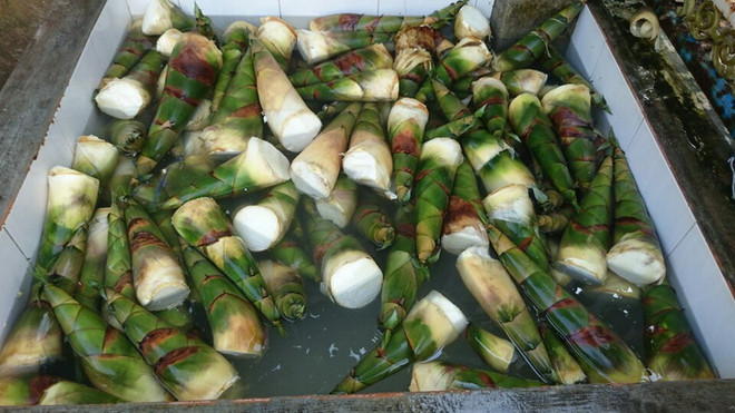 TP. HCM: Hơn 12 tấn măng ngâm chất tẩy độc hại dùng cho vải sợi ảnh 1