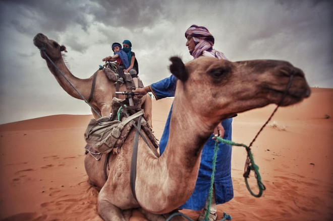 Cưỡi lạc đà ở Sahara, Merzouga, Morocco Nhà có 3 người và hành trình 28.000km vòng quanh châu Âu ảnh 2