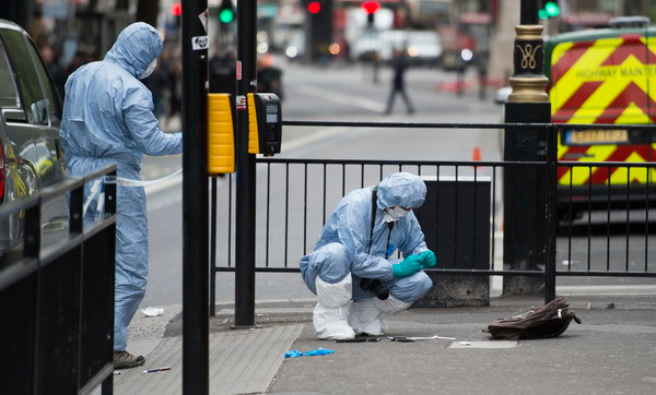 Bắt kẻ cầm dao âm mưu khủng bố gần tòa nhà Quốc hội Anh ảnh 1