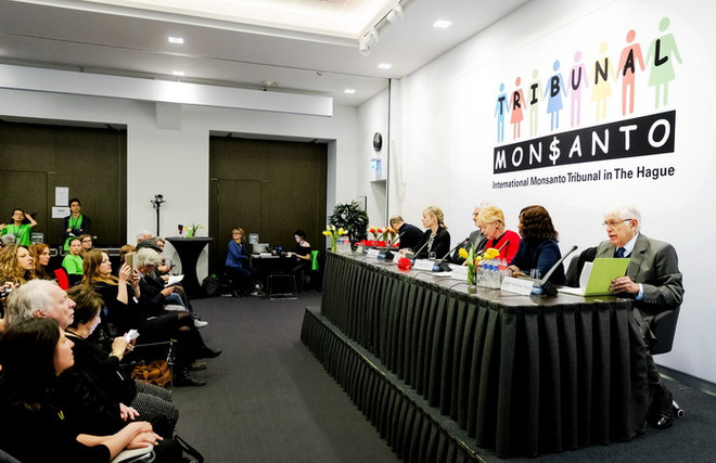 Monsanto cần hỗ trợ khắc phục hậu quả chất độc da cam tại Việt Nam ảnh 1