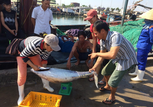 Thừa Thiên-Huế: Chi trả 500 tỷ đồng bồi thường cho ngư dân ảnh 1