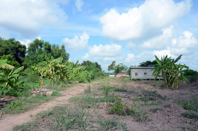 Thu hồi 4 dự án đầu tư du lịch do chậm triển khai tại Bình Định ảnh 1