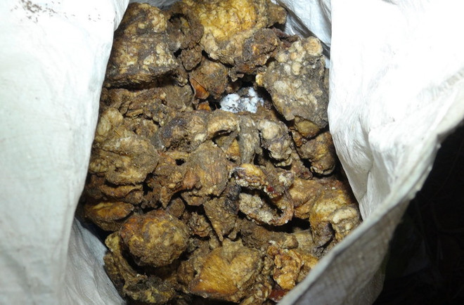 Phát hiện xe vận chuyển 5 tấn mỡ hôi thối ra Hà Nội tiêu thụ ảnh 1