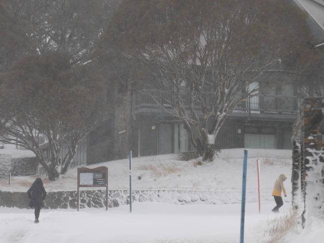 Australia trải qua đợt lạnh nhất trong vòng gần 20 năm qua ảnh 1