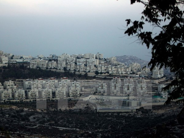 Israel phê chuẩn xây nhà định cư Do Thái tại Đông Jerusalem ảnh 1