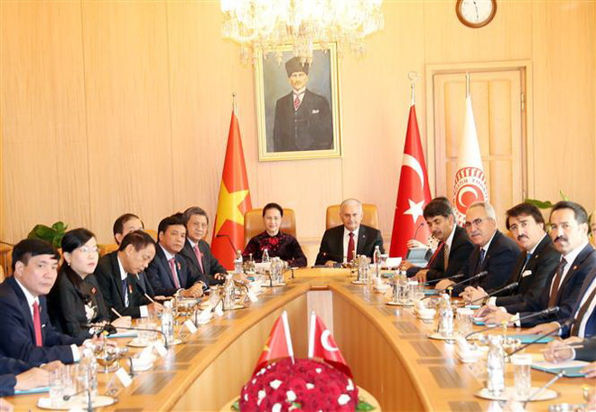 'Thổ Nhĩ Kỳ là đối tác hàng đầu của Việt Nam tại Nam Âu-Trung Đông' ảnh 2