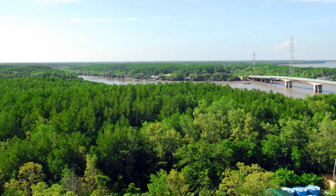 Đầu tư 110 tỷ đồng phát triển rừng ven biển, đầm phá ở Thừa Thiên-Huế ảnh 1