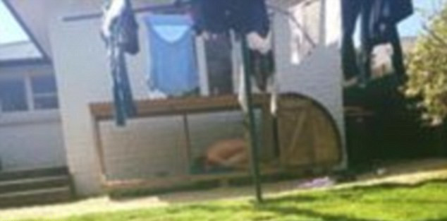 Trào lưu kỳ quặc lại xuất hiện: Chụp ảnh theo tư thế "gà khỏa thân" ảnh 9