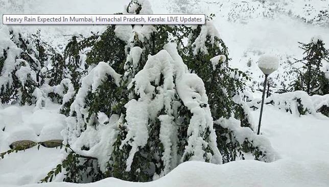 Đã tìm thấy 50 phượt thủ bị mất tích do mưa tuyết ở Ấn Độ ảnh 1