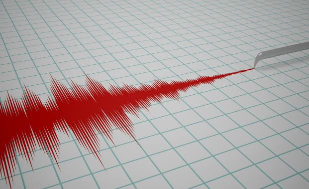 Động đất mạnh tại New Zealand, không có cảnh báo sóng thần ảnh 1