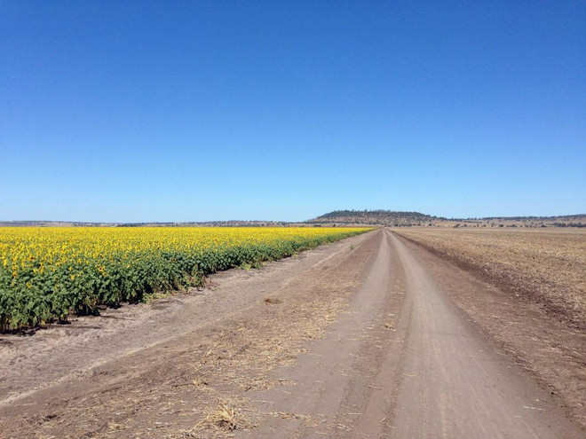 Australia mua lại giấy phép khai mỏ than từ công ty Trung Quốc ảnh 1