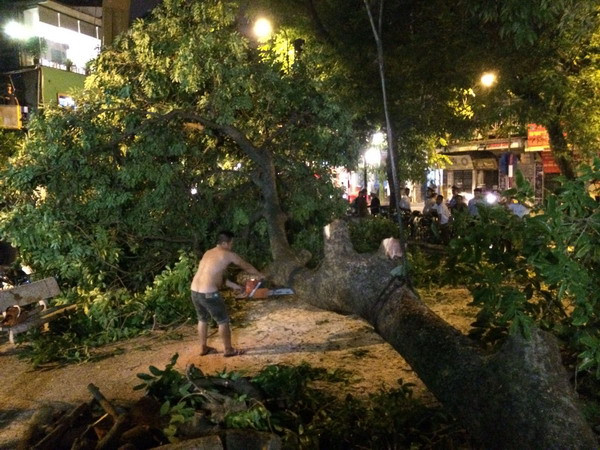 Hà Nội huy động toàn lực chủ động đối phó, xử lý kịp thời bão số 2 ảnh 1
