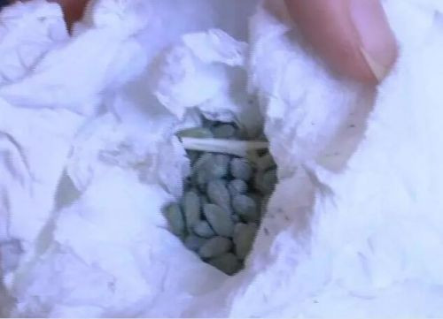 Con trai ăn nhầm thuốc diệt chuột, người mẹ đòi bồi thường 1,3 tỷ đồng ảnh 1