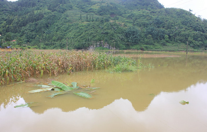 Bắc Bộ tiếp tục có mưa lớn trên diện rộng, nguy cơ cao xảy ra lũ quét ảnh 1