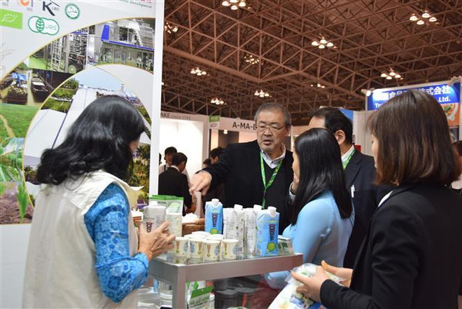 Cơ hội quảng bá nông sản đông lạnh của Việt Nam tại Nhật Bản ảnh 1