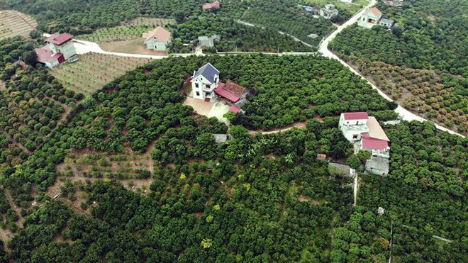 Du lịch cộng đồng góp phần bảo tồn, phát huy bản sắc văn hóa Việt Nam ảnh 2