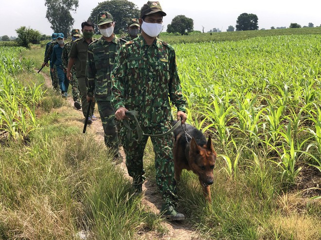 An Giang khởi tố 5 bị can tổ chức cho người khác nhập cảnh trái phép ảnh 1