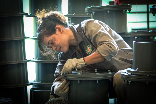 Thương hiệu 'Nhựa Tiền Phong' từng bước vươn ra thị trường thế giới ảnh 2