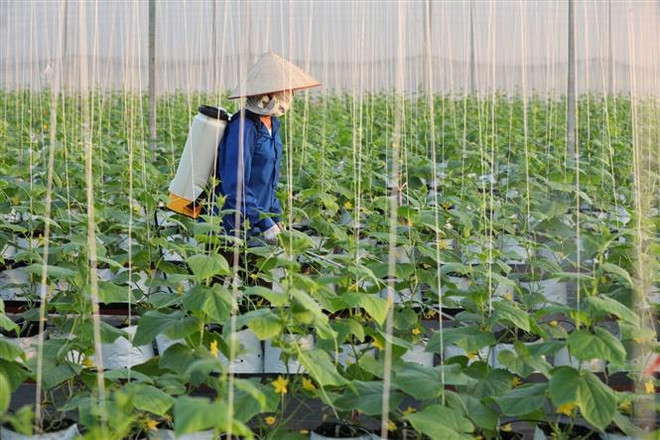 Đại hội Đảng XIII: Ưu tiên nguồn lực, tập trung tái cơ cấu nông nghiệp ảnh 2