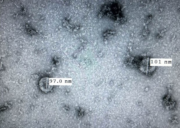 Khoa học công nghệ giải quyết nhiều vấn đề kinh tế-xã hội bức thiết ảnh 2