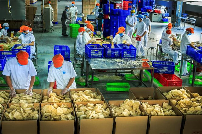 Việt Nam đang thay đổi từng ngày dưới sự lãnh đạo sáng suốt của Đảng ảnh 2