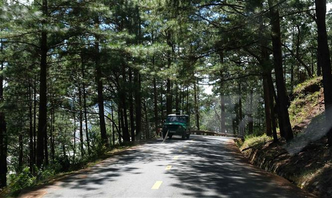 Lâm Đồng: Xử lý vụ phá hoại phương tiện do du lịch tự phát tại rừng ảnh 1