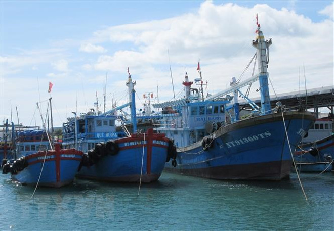 Đề phòng thời tiết nguy hiểm trên biển trong đêm 4/1 và ngày 5/1 ảnh 1