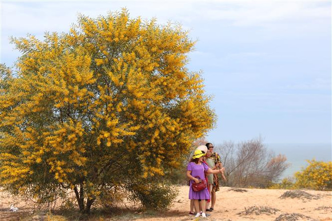 Nỗ lực vực dậy ngành du lịch sau tổn thất nghiêm trọng vì COVID-19 ảnh 1