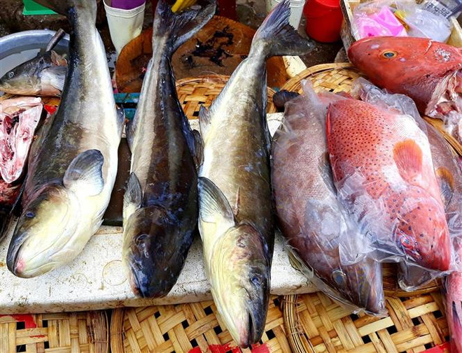 Du lịch Ninh Thuận: Dấu ấn từ một vùng đất nhiều nắng gió ảnh 2