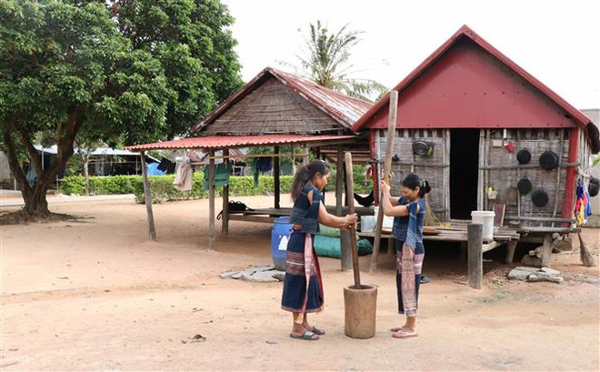 Đến Gia Lai để tìm hiểu lễ mừng lúa mới của người dân tộc Bahnar ảnh 1