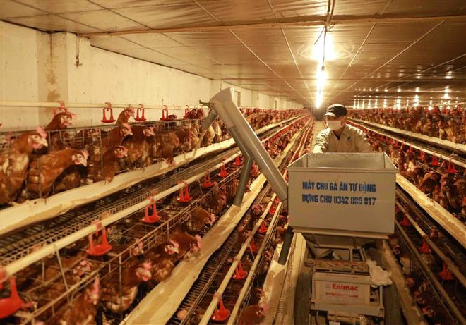 Đại hội Đảng XIII: Ưu tiên nguồn lực, tập trung tái cơ cấu nông nghiệp ảnh 1