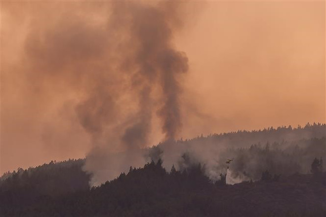 Hàng trăm người phải sơ tán do cháy rừng ở Tây Ban Nha ảnh 1
