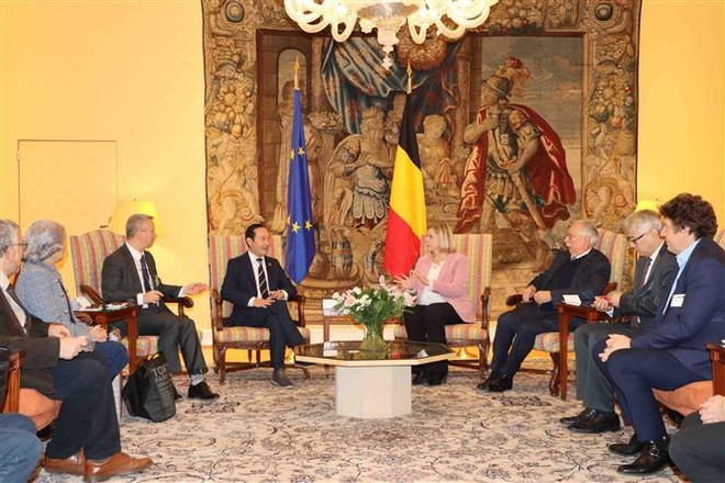 Việt Nam và Bỉ thúc đẩy hợp tác hỗ trợ nạn nhân chất độc da cam ảnh 4