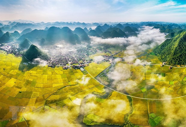 Lạng Sơn thúc đẩy hợp tác với các doanh nghiệp Singapore ảnh 1