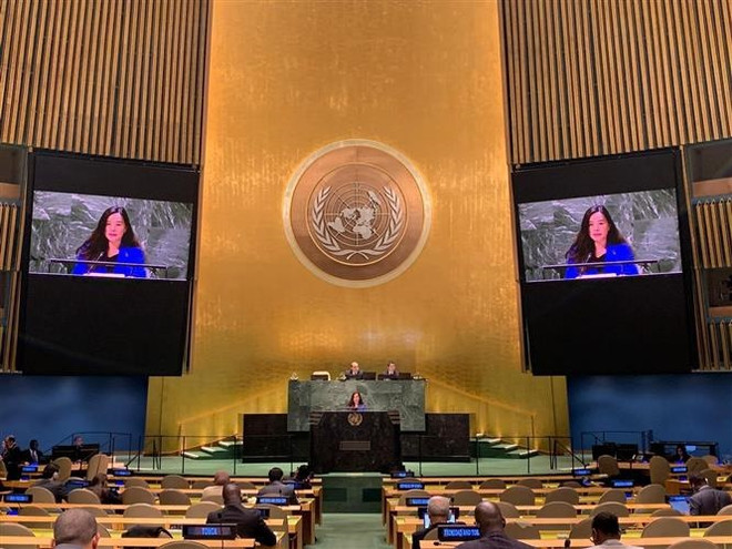 Việt Nam ủng hộ cải tổ hoạt động của Đại Hội đồng Liên hợp quốc ảnh 1