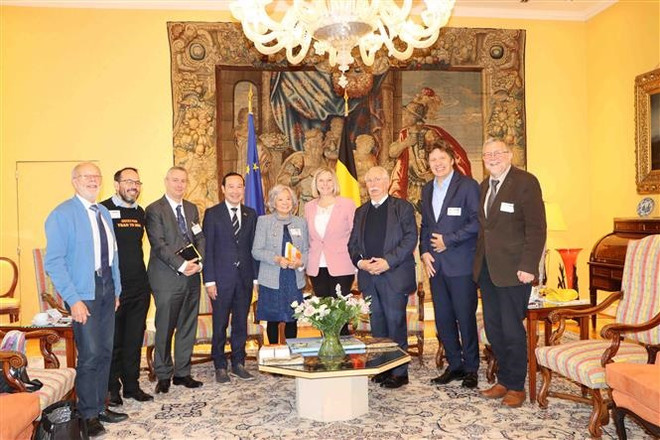 Việt Nam và Bỉ thúc đẩy hợp tác hỗ trợ nạn nhân chất độc da cam ảnh 1