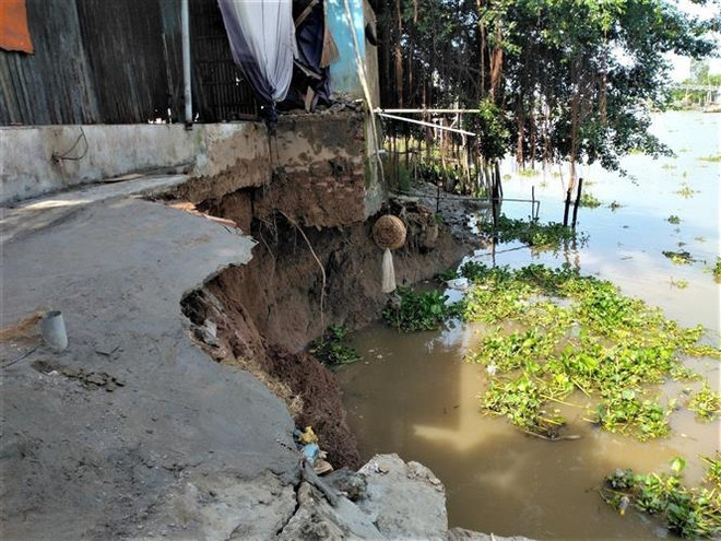 An Giang xuất hiện hai đoạn sạt lở dài 50m tại huyện Chợ Mới ảnh 1