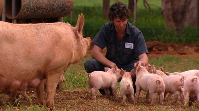 JBS mua lại công ty chế biến thịt lợn hàng đầu của Australia ảnh 1