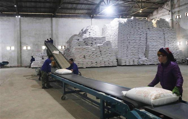 Vận chuyển sản phẩm tại Nhà máy Mía đường Cao Bằng. (Ảnh: Chu Hiệu/TTXVN) Năm 2021, đấu giá hạn ngạch thuế quan nhập khẩu 108.000 tấn đường ảnh 1