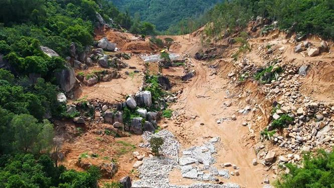 Bà Rịa-Vũng Tàu: Khởi tố vụ án 'Hủy hoại rừng' tại khu vực núi Thị Vải ảnh 1