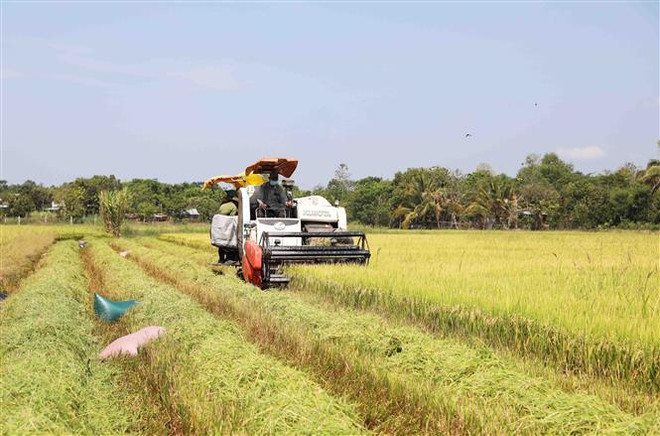 (Ảnh minh họa: Phạm Hậu/TTXVN) Doanh nghiệp Australia quan tâm đến công nghệ nông nghiệp ở Việt Nam ảnh 1