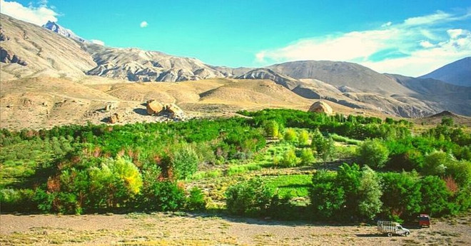 Người đàn ông dành hai thập kỷ tạo ra ốc đảo xanh giữa sa mạc ảnh 2