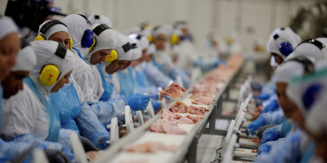 Tin tặc - mối đe dọa mới nhất đối với nguồn cung thực phẩm toàn cầu ảnh 1