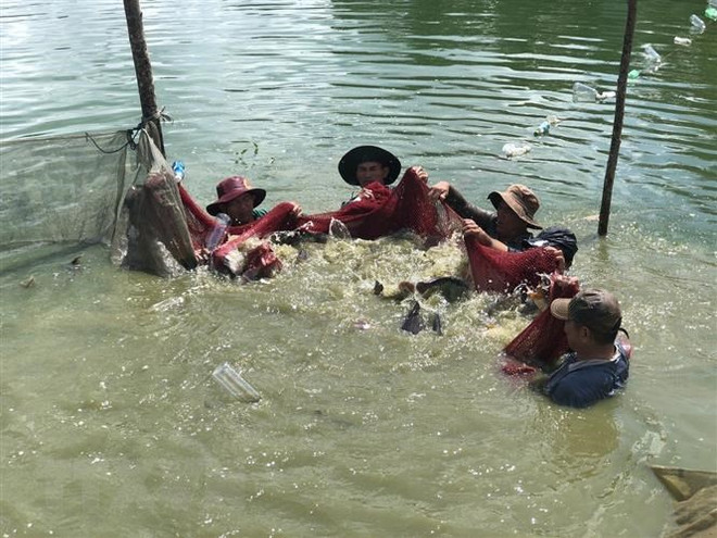 Bà Rịa-Vũng Tàu cam kết hỗ trợ tiêu thụ sản phẩm nông sản và thủy sản ảnh 1