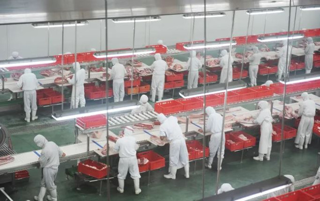 Công ty thịt lớn nhất thế giới bất ngờ giảm 10.000 việc làm ảnh 1