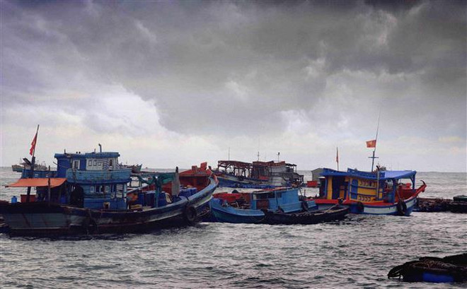 Chủ động ứng phó với áp thấp nhiệt đới có khả năng mạnh thành bão ảnh 1