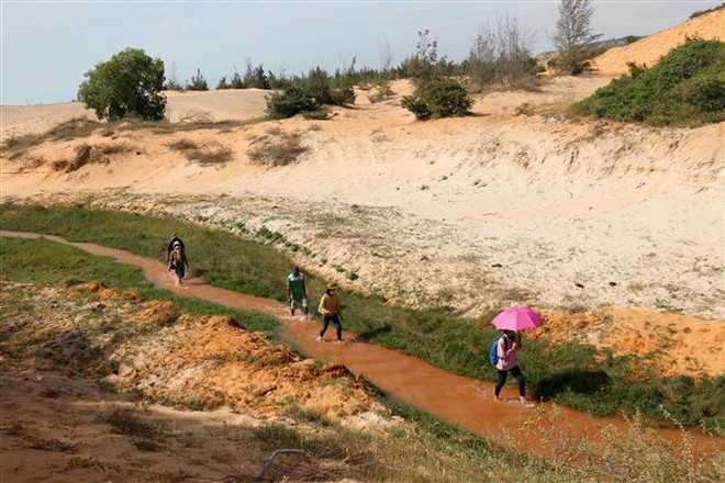 Du lịch Bình Thuận đột phá sau 5 năm thực hiện Nghị quyết của Tỉnh ủy ảnh 2